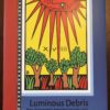 <em>Luminous Debris: New & Selected Legerdemain 1992-2017</em>, Timothy Liu (Limited Edition Hardcover) - Image 2