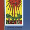 <em>Luminous Debris: New & Selected Legerdemain 1992-2017</em>, Timothy Liu (Limited Edition Hardcover)