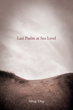 <em>Last Psalm at Sea Level</em>, Meg Day