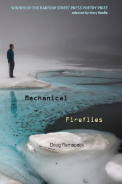 <em>Mechanical Fireflies</em>, Doug Ramspeck