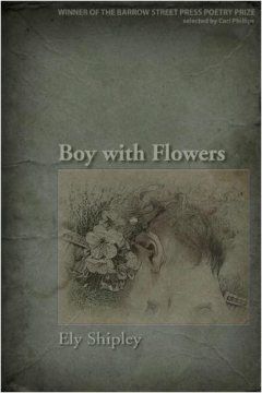 <em>Boy with Flowers</em>, Ely Shipley